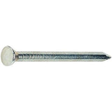 Grip-Rite 12D 3-1/8 in. Sinker Vinyl Steel Nail Countersunk Head 5 lb