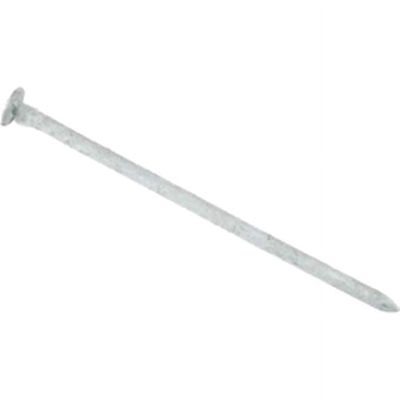 Grip-Rite 20D 4 in. Common Hot-Dipped Galvanized Steel Nail Flat Head 1 lb