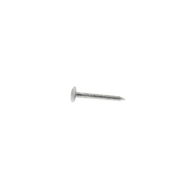 Grip-Rite 4D 1-1/2 in. Roofing Hot-Dipped Galvanized Steel Nail Flat Head 30 lb
