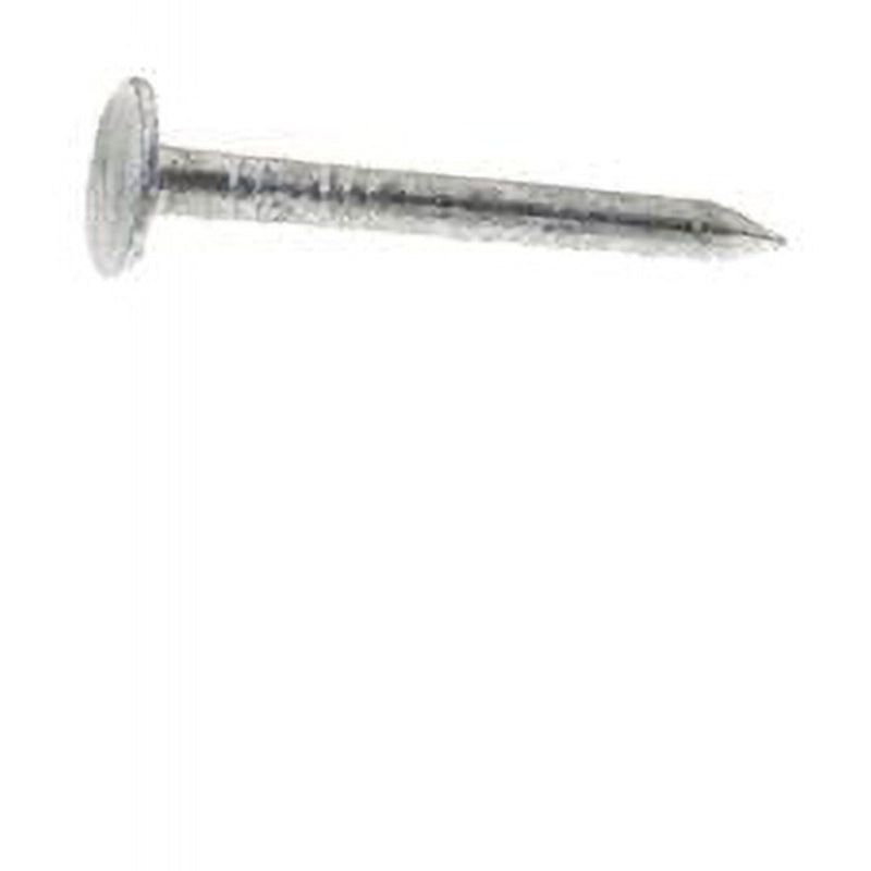 Grip-Rite 1-1/4 in. Roofing Hot-Dipped Galvanized Steel Nail Flat Head 30 lb