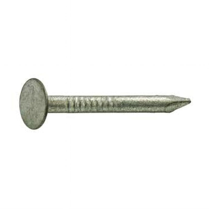 Grip-Rite 1-3/4 in. Roofing Hot-Dipped Galvanized Steel Nail Flat Head 1 lb