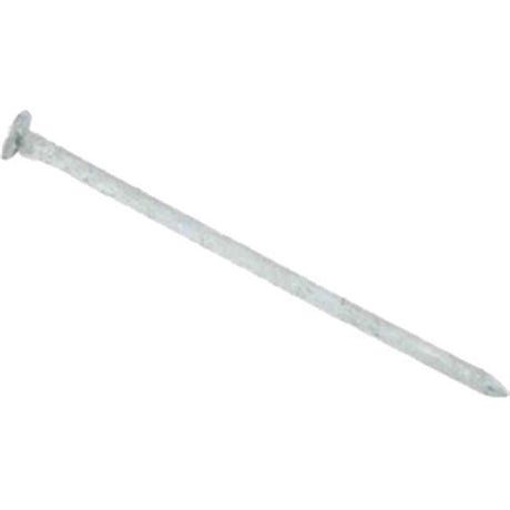 Grip-Rite 6D 2 in. Common Hot-Dipped Galvanized Steel Nail Flat Head 1 lb