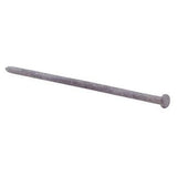 Grip-Rite 8 in. Spike Hot-Dipped Galvanized Steel Nail Flat Head 5 lb