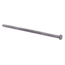 Grip-Rite 8 in. Spike Hot-Dipped Galvanized Steel Nail Flat Head 5 lb