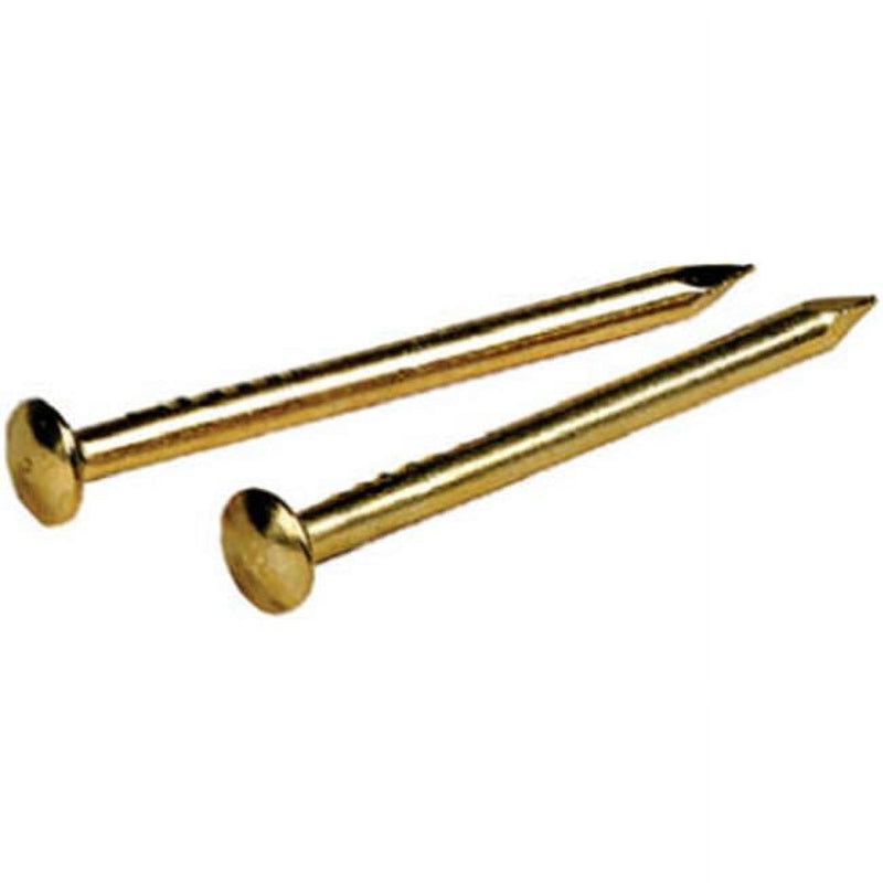 Hillman 16 Ga. X 1 in. L Brass Escutcheon Pins 1 pk 2 oz