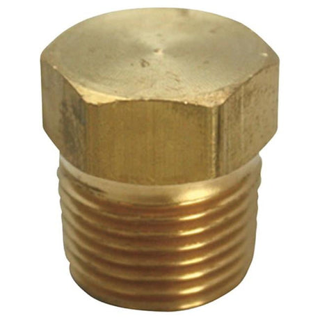 1/8 in. MPT Brass Hex Head Plug