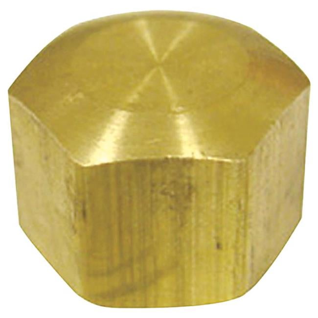 1/2 in. Compression Brass Cap