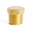 1/2 in. MPT Brass Hex Head Plug