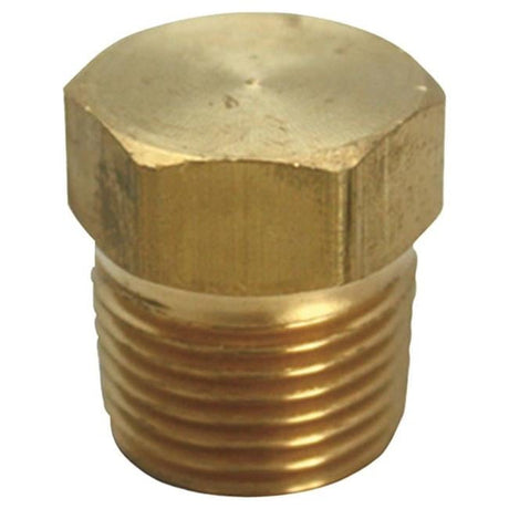 3/4 in. MPT Brass Hex Head Plug