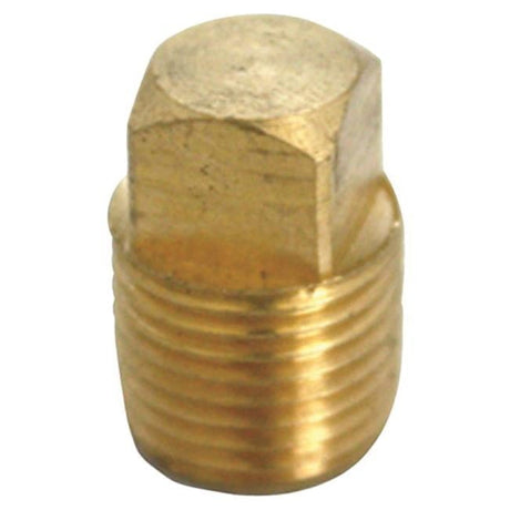 3/4 in. MPT Brass Square Head Cored Plug
