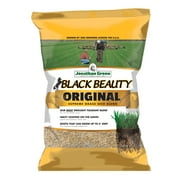 Jonathan Green Black Beauty Original Tall Fescue Grass Sun or Shade Grass Seed 15 lb