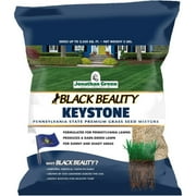 Jonathan Green Black Beauty Keystone All Grasses Sun or Shade Grass Seed 3 lb