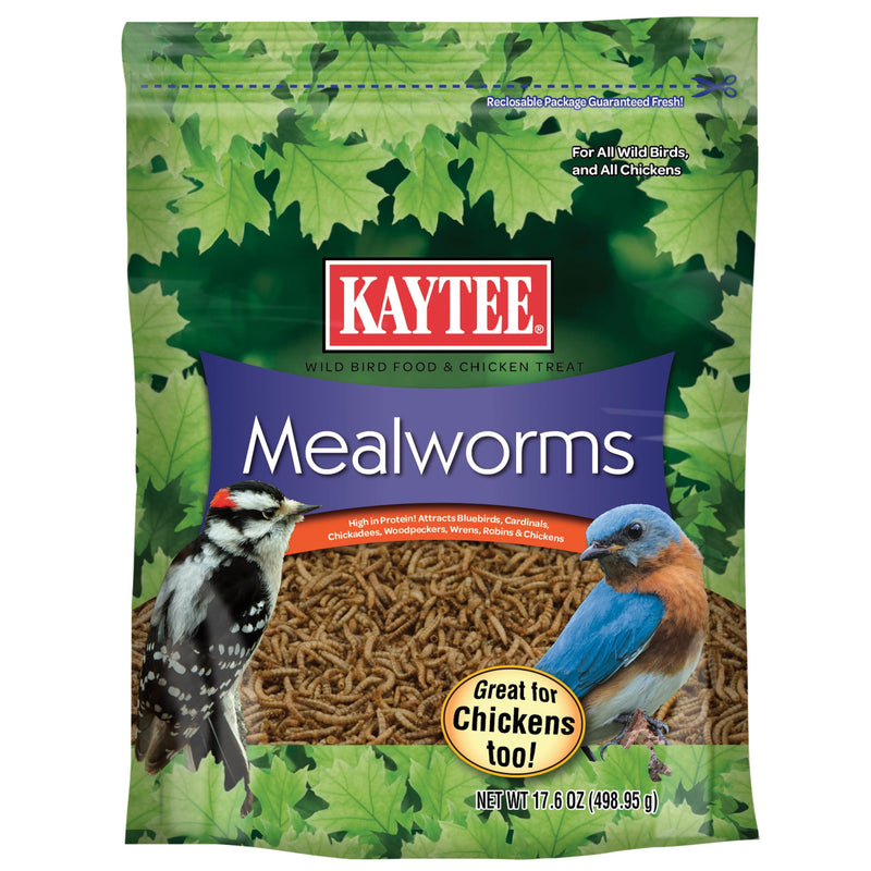 Kaytee Songbird Dried Mealworm Mealworms 17.6 oz