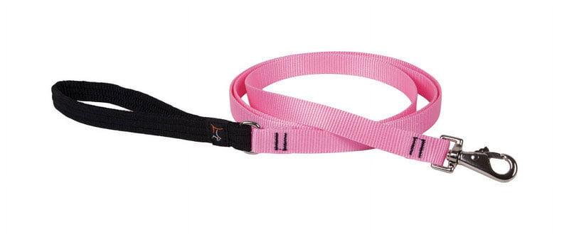 LupinePet Basic Solids Pink Pink Nylon Dog Leash