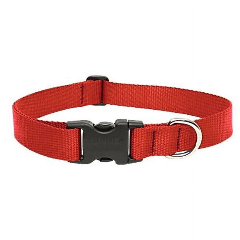 LupinePet Basic Solids Red Red Nylon Dog Adjustable Collar