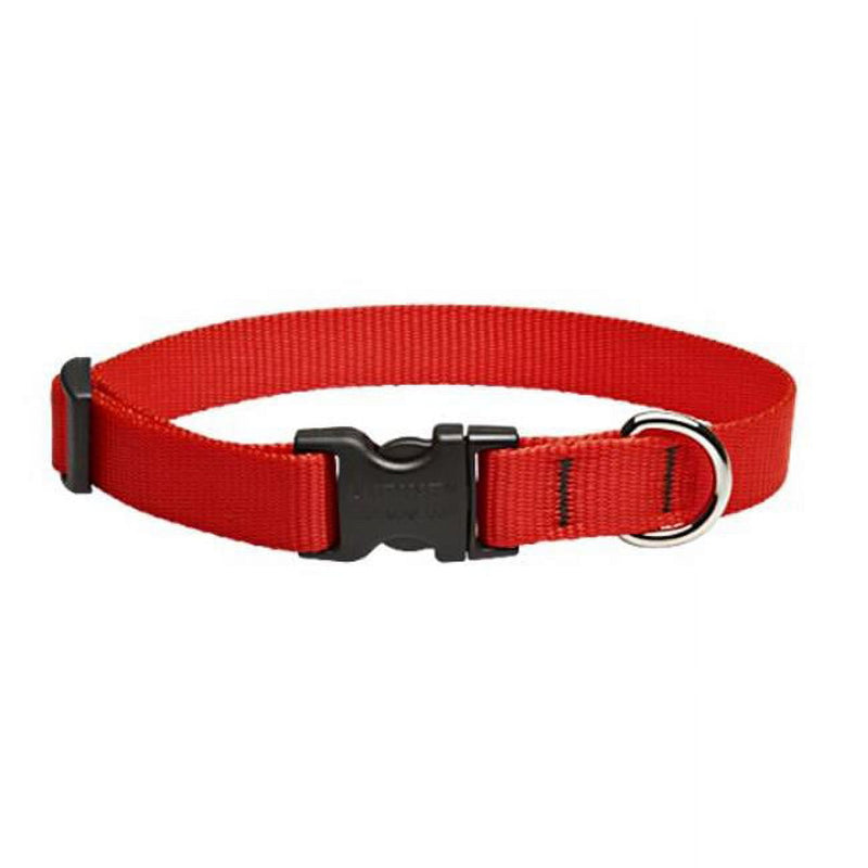 LupinePet Basic Solids Red Red Nylon Dog Adjustable Collar