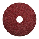 Norton 5 in. D X 7/8 in. Aluminum Oxide Fiber Disc 24 Grit