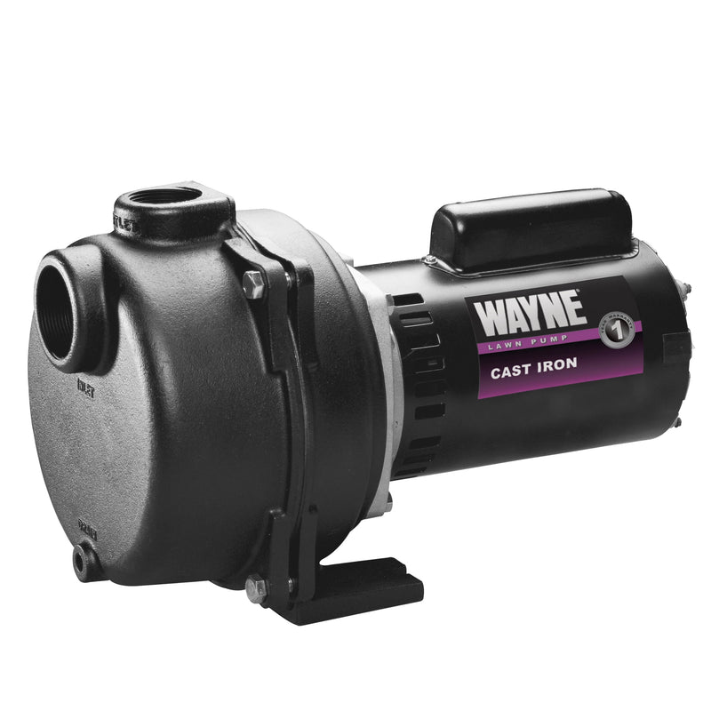 Wayne 2 HP 4200 gph Cast Iron Sprinkler Pump