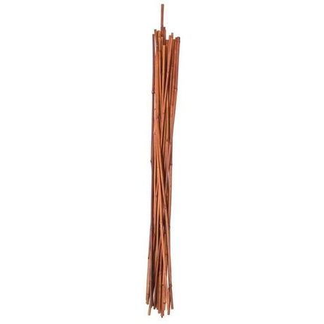 Panacea 72 in. H X 1.5 in. W X 1.5 in. D Brown Bamboo Plant Stake