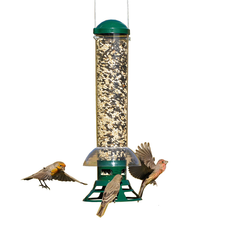 Perky-Pet Squirrel Slammer Wild Bird 3.5 lb Metal/Plastic Bird Feeder 3 ports