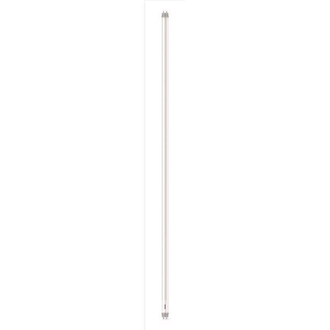 Philips T8 Bi-Pin LED Tube Light Daylight 32 Watt Equivalence 2 pk