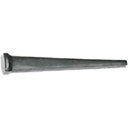 Grip-Rite 10D 3 in. Masonry Cut Tempered Hardened Steel Nail Flat Head 1 lb