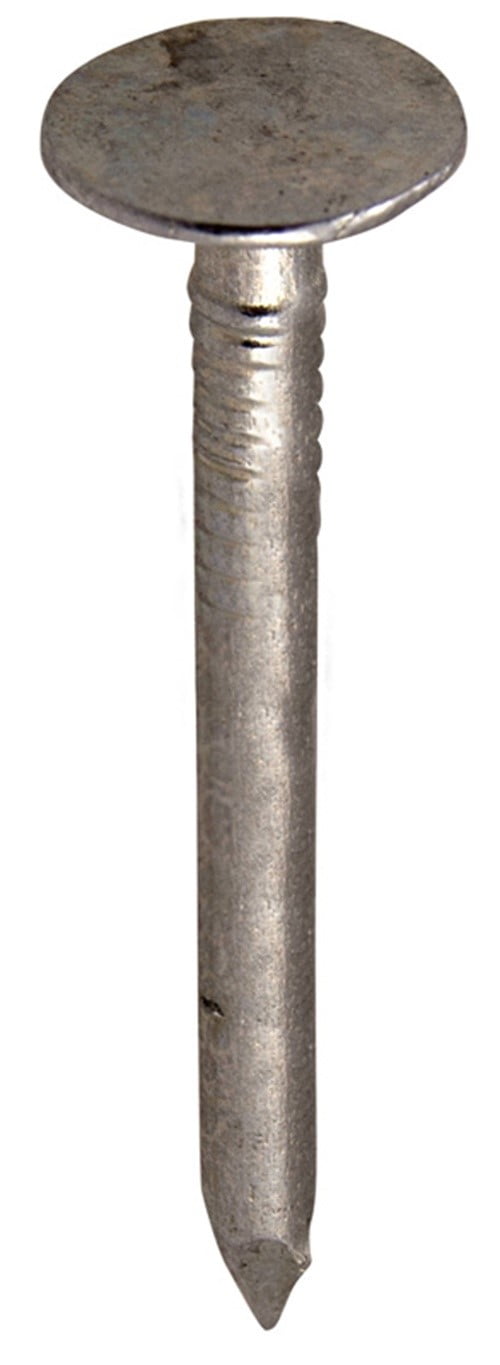 Grip-Rite 2 in. Roofing Electro-Galvanized Steel Nail Flat Head 1 lb