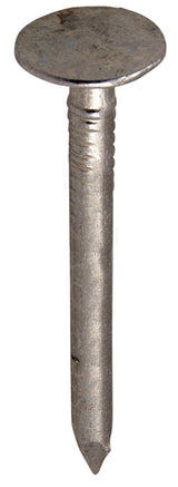 Grip-Rite 2 in. Roofing Electro-Galvanized Steel Nail Flat Head 1 lb