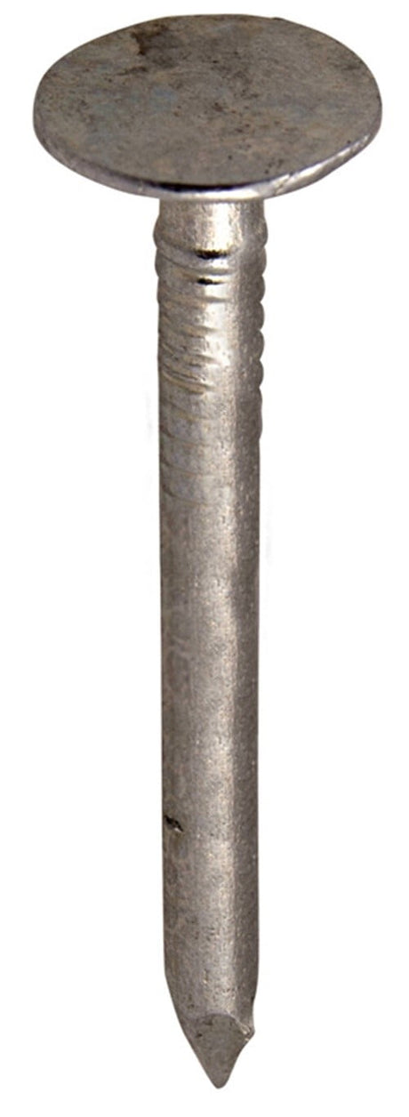 Grip-Rite 2 in. Roofing Electro-Galvanized Steel Nail Flat Head 1 lb