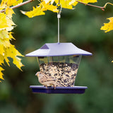 More Birds Perky-Pet Wild Bird 1.7 lb Plastic Hopper Bird Feeder