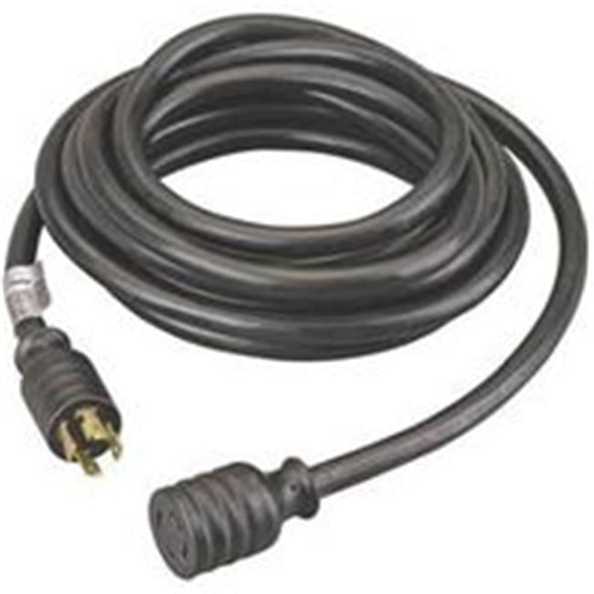 Reliance Controls 10/4 250 V 20 ft. L Generator Cord