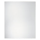 Erias 24 in. H X 20 in. W Silver Glass Mirror