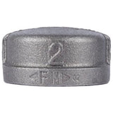 STZ Industries 2-1/2 in. FIP each Black Malleable Iron Cap
