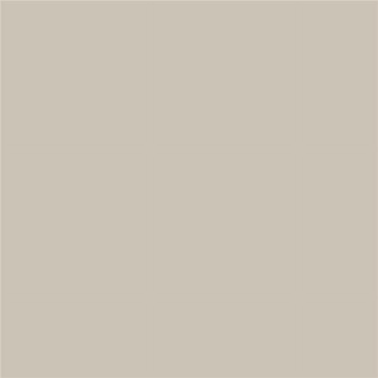 Samplize Benjamin Moore Revere Pewter Peel & Stick Color Sample HC-172