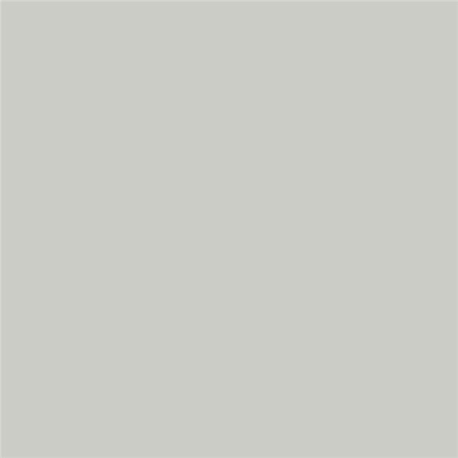 Samplize Benjamin Moore Stonington Gray Peel & Stick Color Sample HC-170