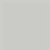 Samplize Benjamin Moore Stonington Gray Peel & Stick Color Sample HC-170