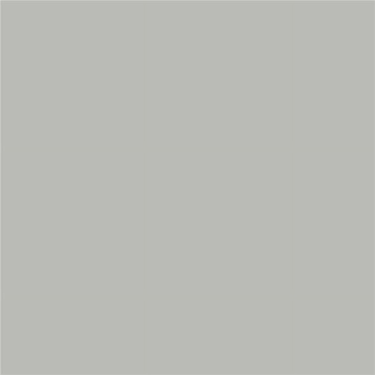 Samplize Benjamin Moore Coventry Gray Peel & Stick Color Sample HC-169
