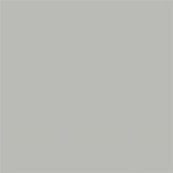 Samplize Benjamin Moore Coventry Gray Peel & Stick Color Sample HC-169