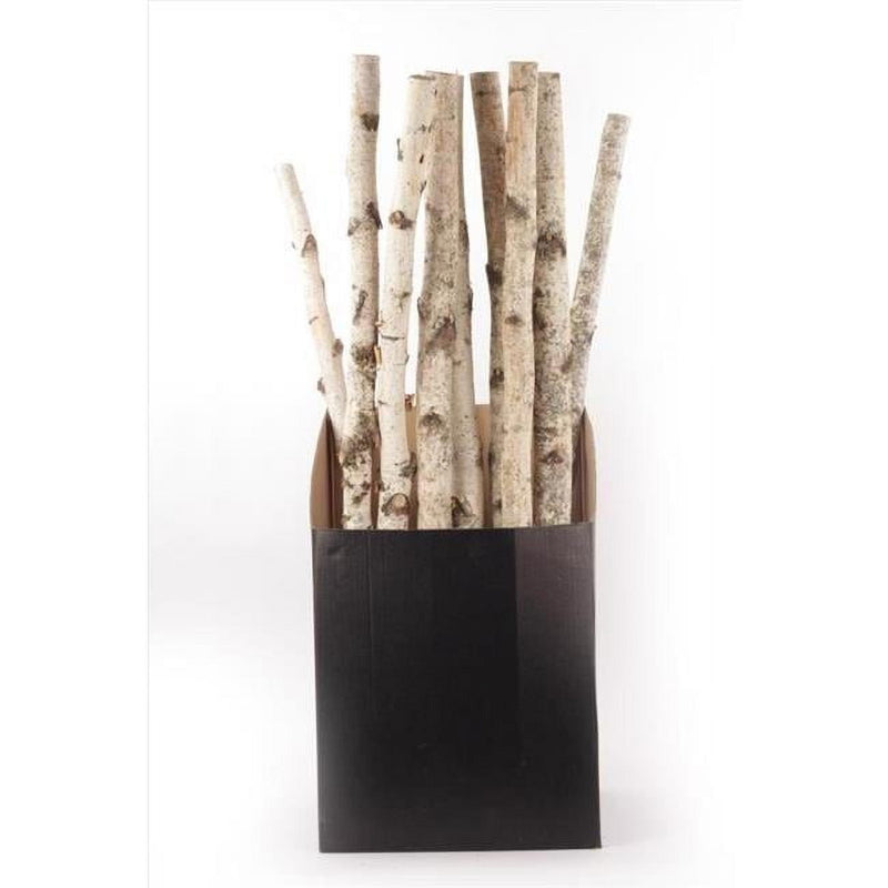 Second Nature Natural Birch Branches 32 in.