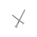 Simpson Strong-Tie 10D 3 in. Deck Coated Stainless Steel Nail Round Head 5 lb