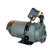 Star Water Systems 1 HP 1170 gph Cast Iron Convertible Jet Well Pump