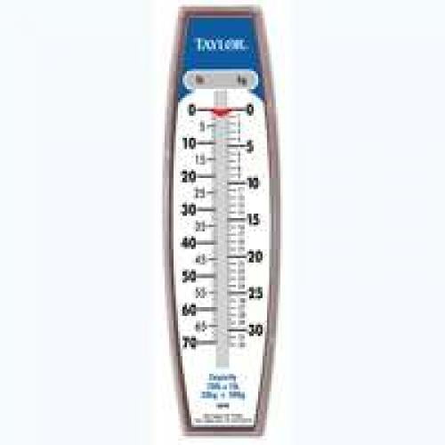 Taylor White Analog Hanging Scale 70 lb