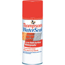 Thompson's WaterSeal Clear Water-Based Multi-Surface Waterproofer 12 oz