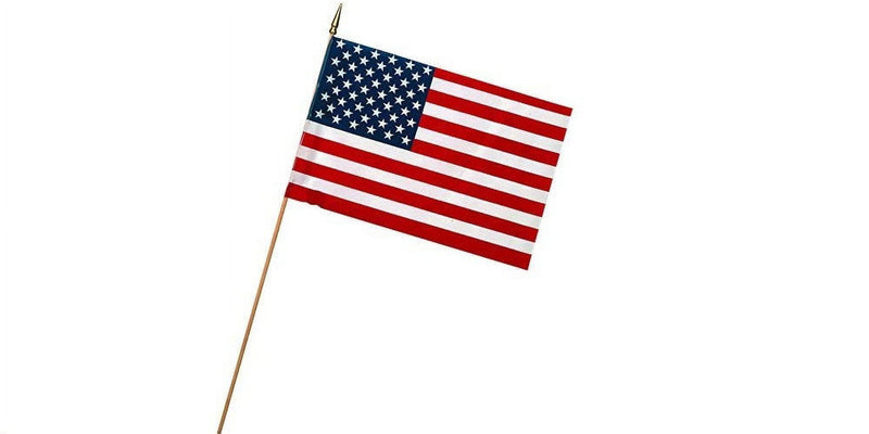 Valley Forge American Stick Flag 12 in. H X 18 in. W