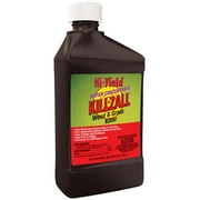 Hi-Yield Killzall Weed and Grass Killer Concentrate 16 oz