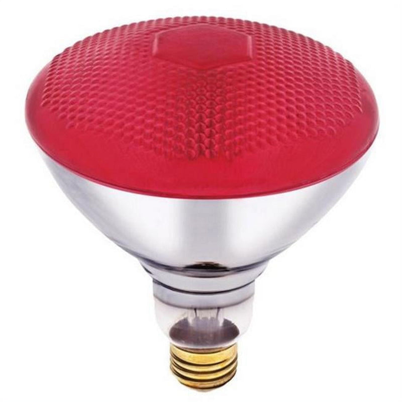 Westinghouse 100 W E26 Reflector Incandescent Bulb E26 (Medium) Red 1 pk