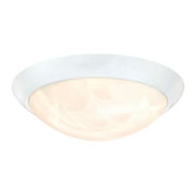 Westinghouse Polished White Switch LED Light Fixture