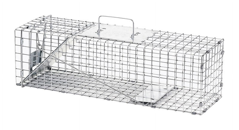 Havahart Medium Live Catch Cage Trap For Rabbits and Skunks 1 pk